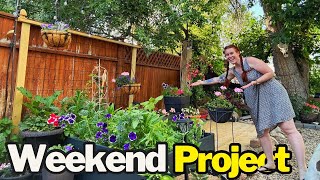 Budget-Friendly Backyard Makeover Using Only Shade Plants