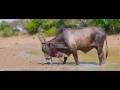 VARALAM VAA BAIRAVAA