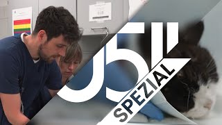 Rettung für Fellnasen: Einsatz im Tiernotdienst Hannover