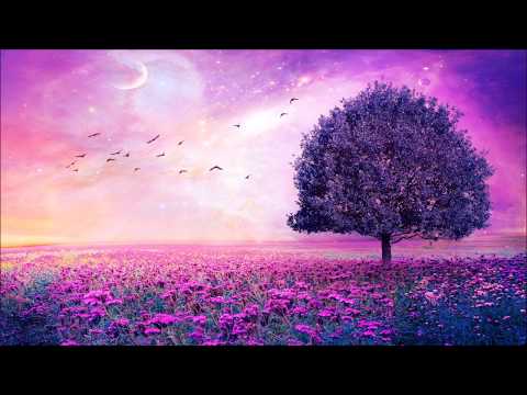 Wonderwall Of Broken Dreams (Mashup) Green Day vs Oasis Mix