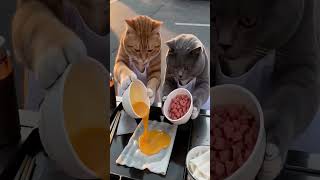 Download lagu 😜🤪😁 i made a interesting funny video #FUN #DOG #CAT 4😜🤪😁 mp3