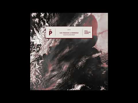Los Fugazzi & Vongold - Convalescent (Gameboyz Remix) [Playground]