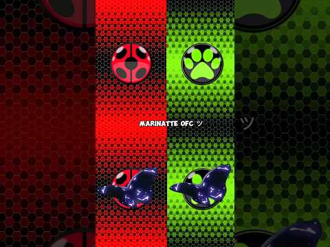 『 Ladybug x ladybug akumatize, Cat noir x cat noir akumatize 』#shorts #video #youtubeshorts