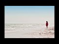 DayFox Riding The Wave OSUNA NCS