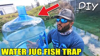 DIY Water Jug Fish Trap Catches RARE FISH!