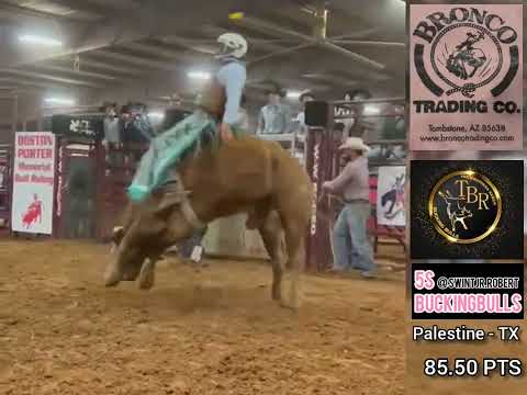 EDNEI CAMINHAS - PALESTINE - TX 2022