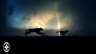 Will Atkinson - Awake [VII]