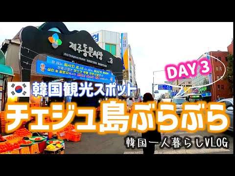 VLOG#18 [Coreia] 3º dia (último dia) de passeio pela Ilha de Jeju <Mercado de Dongmun>