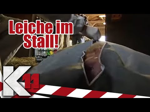 Treacherous murder in a horse stable: Victim locked up and trampled! | K11 - Full episode | Sat.1