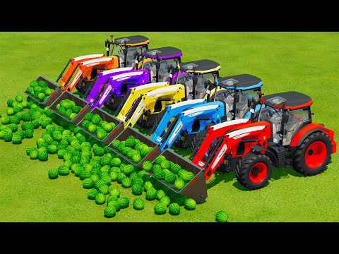 LOAD & TRANSPORT WATERMELONES WITH McCORMICK TRACTORS - Farming Simulator 22