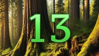 Warrior Cats - Forest of Secrets: Episode 13 - "Gathering Moss for the Elders" (Audio Only)