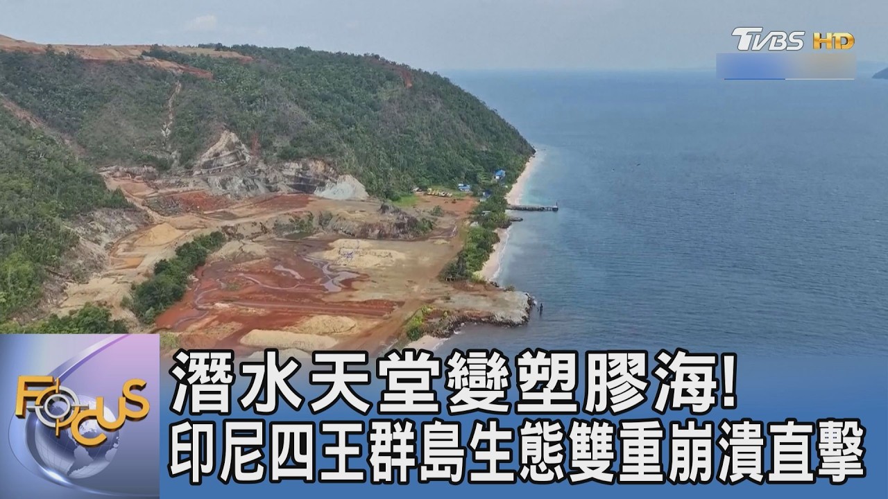 海洋基因庫告急!潛水者最後天堂深陷鎳礦與廢棄物夾擊