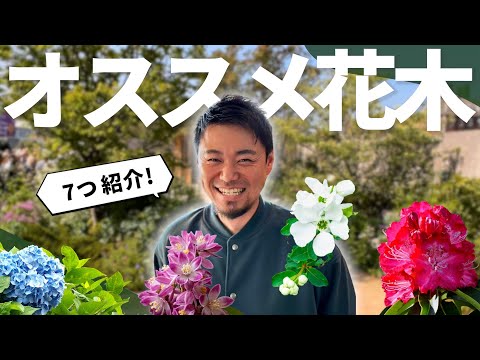 小低木のバラ 'Bad Wörishofen 2005' 植物