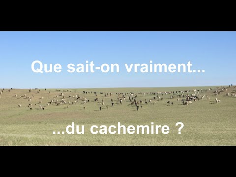 Enquête sur la face cachée du cachemire