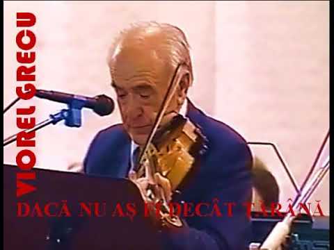 🎤🎻Viorel Grecu AUDIO (1998) - Daca nu as fi decat tarana