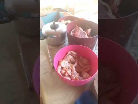 1 dia de churrasco  em campestre mg