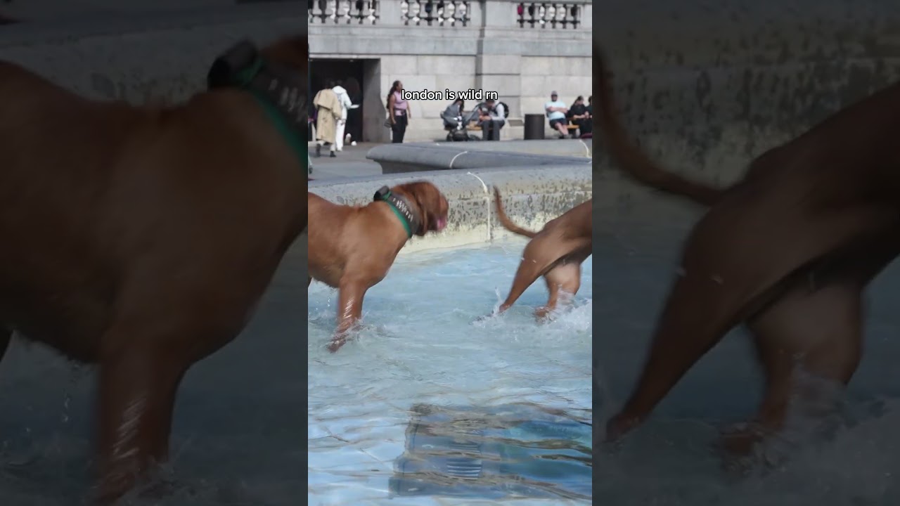 spotted something odd in London today...