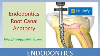 Endodontics Root Canal Anatomy -MDS Lecture