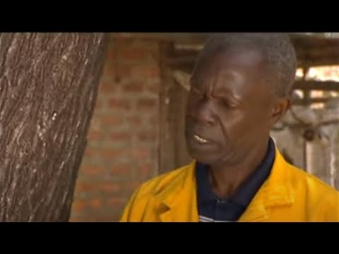 Shamba Shape Up Series 1 - Ep 4: Bananas, Chickens, Fruit Trees (English)