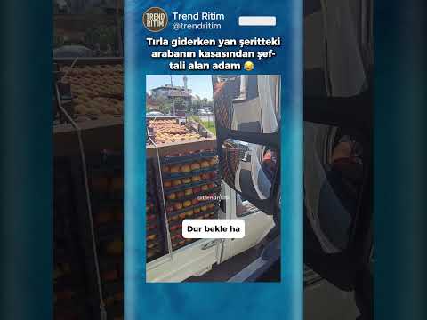 Tırla Giderken Arabanın Kasasından Şeftali Alan Adam 😂😄