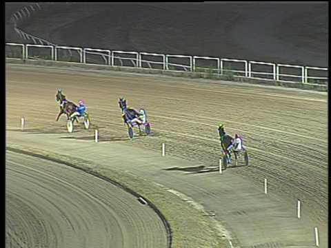 Trotto 08/07/2017 - 4ª prova di qualifica