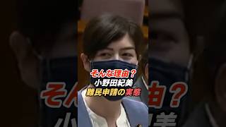 小野田紀美「何度も申請？」難民制度の課題とは何か