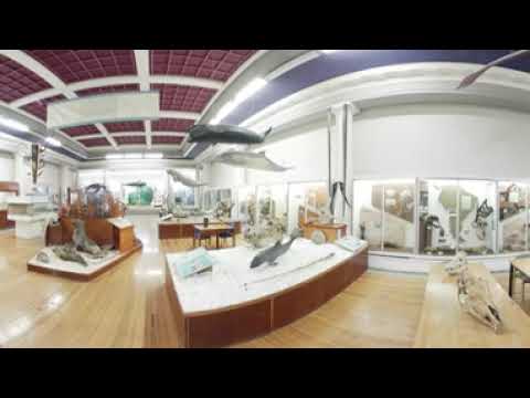 Vídeo 360 do Museu de Zoologia