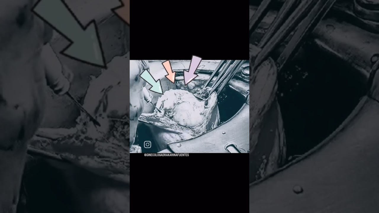 Erika Karina Fuentes Gutiérrez-20