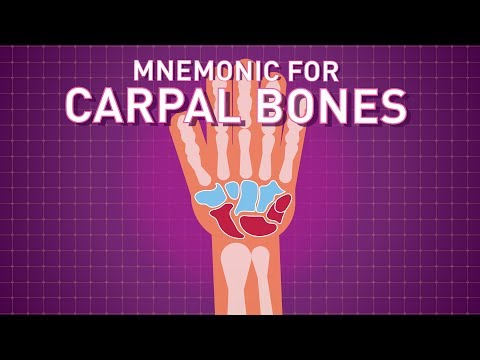 Carpal Bones Mnemonic