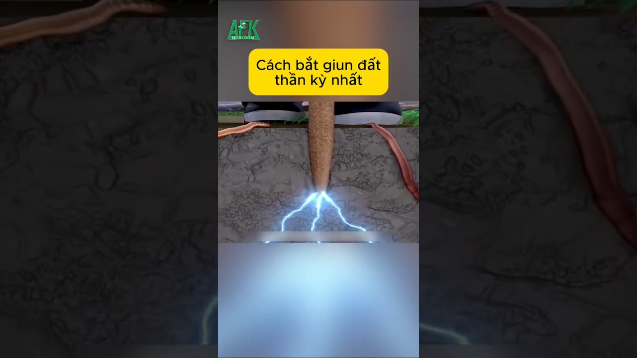 Cách bắt giun đất thần kỳ nhất bạn đã biết chưa?