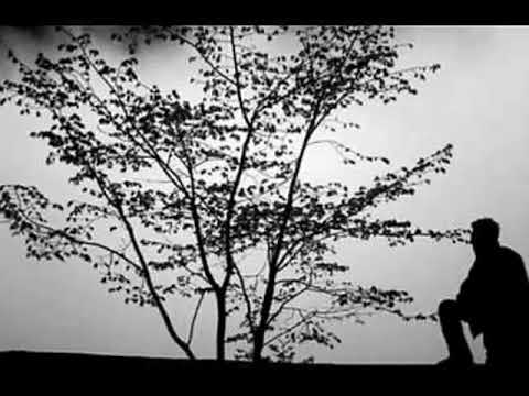 Sonikaz En Değerlime