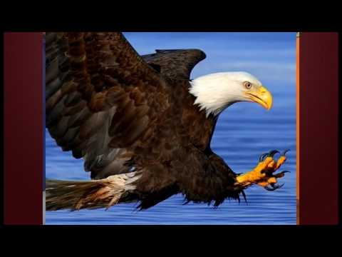 TABERNÁCULO LOS VILOS - 29 AGOSTO 2010 - "LA NOTICIA MAS TRASCENDENTAL"