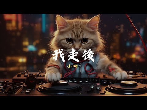 小咪 - 我走後, 周筆暢 - 最美的期待, Aioz, Young 7 - COCO《掀起2024年的華語青年音樂風潮》【動態歌詞Lyrics】