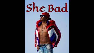 Mr. Dalvin “ She Bad” promo video