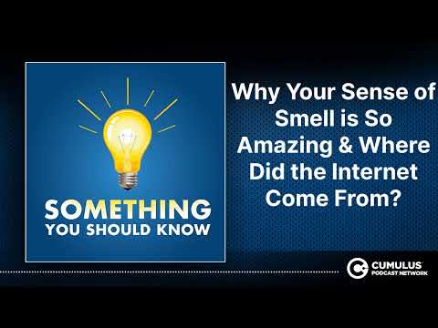 Why Your Sense of Smell is So Amazing & Where Did the Internet Come From?