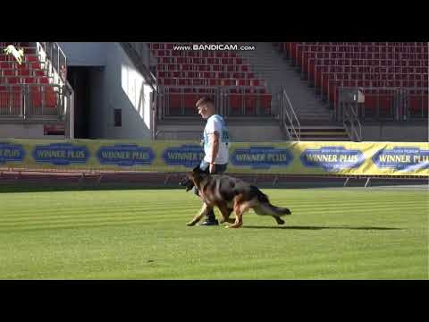 1006 Rey du Val D'Anzin - TSB BSZS-2023