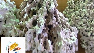 Como Curar Roca Muerta para Acuario Marino