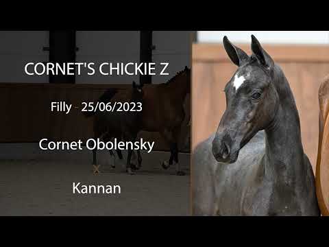 Cornet's Chickie Z (Cornet Obolensky x Kannan)