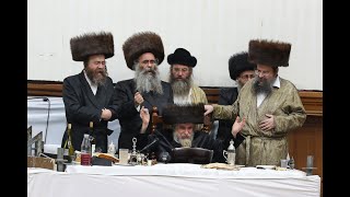 טיש פורים ברחמסטריווקא תשפה