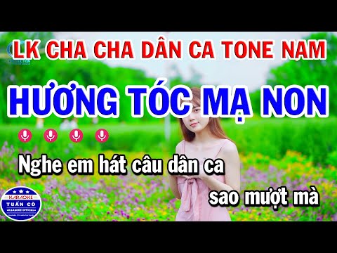 Liên Khúc Nhạc Sống Cha Cha Dân Ca | Hương Tóc Mạ Non | Cây Cầu Dừa