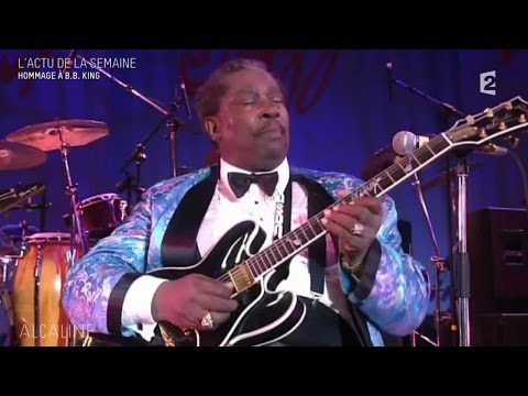 Alcaline, le Mag : Les news avec Youssoupha, Elliott Murphy et Too Many Zooz