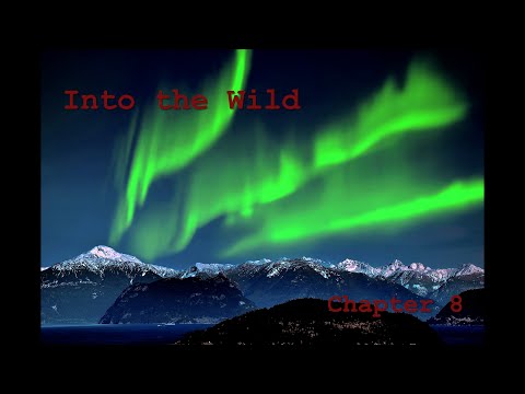 Into the Wild Chapter 8 Summary