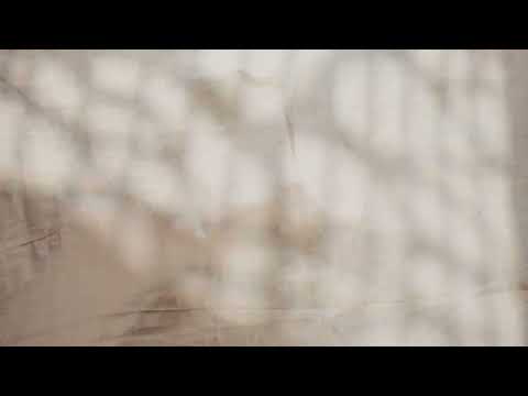 Blend Mishkin & Panos Dimitrakopoulos - Shadow Games (Visualizer)