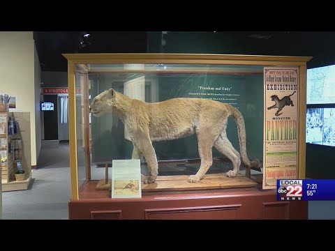 This Place in History: Last Catamount in Vermont