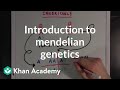 An Introduction To Mendelian Genetics Biomolecules MCAT Khan Academy