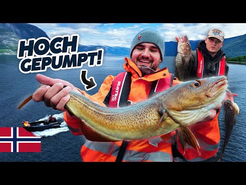 Big cod in southern Norway 🤔 | Catch and Cook in Farsund | Fishing trip Norway