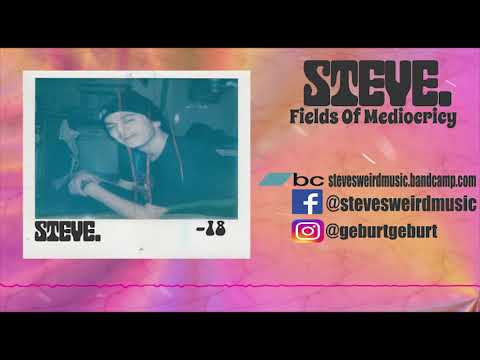 Steve. - FIelds Of Mediocricy