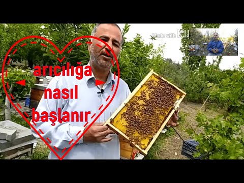 Are you planning to beekeeping? This video is for those thinking about beekeeping.
