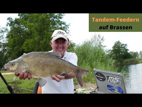 Tandem-Feedern auf Brassen und Schleien | Mit Michael Schlögl und Andreas Mink am Wasser