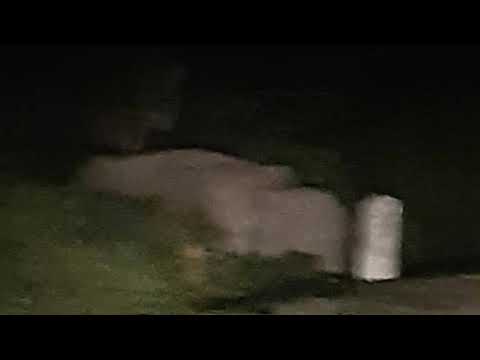 Penampakan lembaga di hiway grik jeli